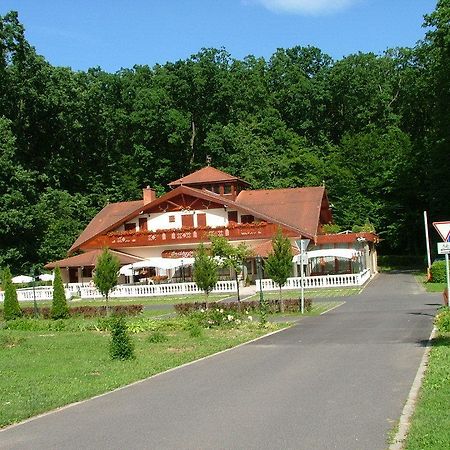 Erdogyongye Etterem Es Panzio Hotel Zalaegerszeg Buitenkant foto