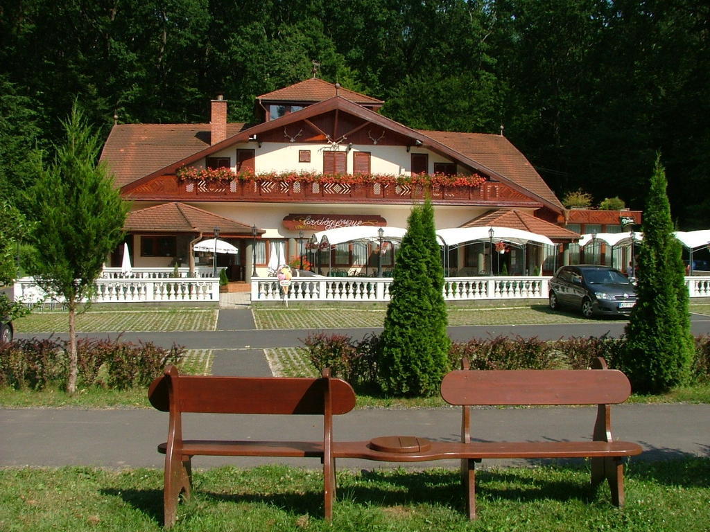 Erdogyongye Etterem Es Panzio Hotel Zalaegerszeg Buitenkant foto